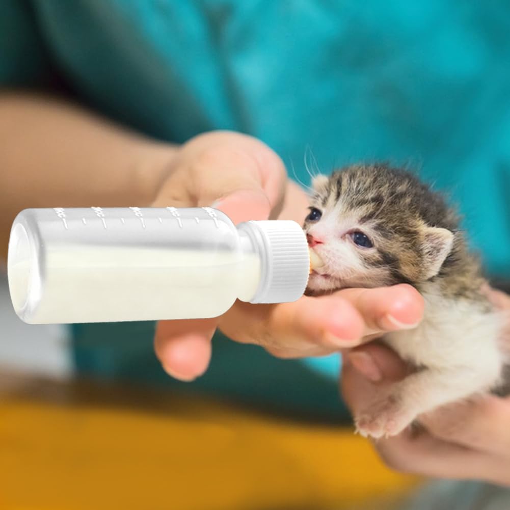 Kitten nursing kit nipples close up
