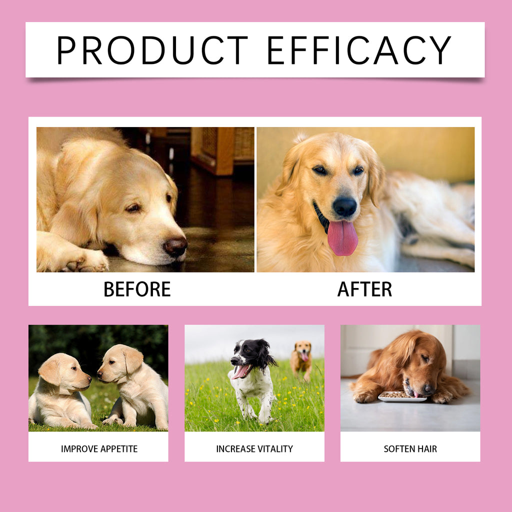 Pre & Probiotic Digestive Care Chews for Dogs bottle