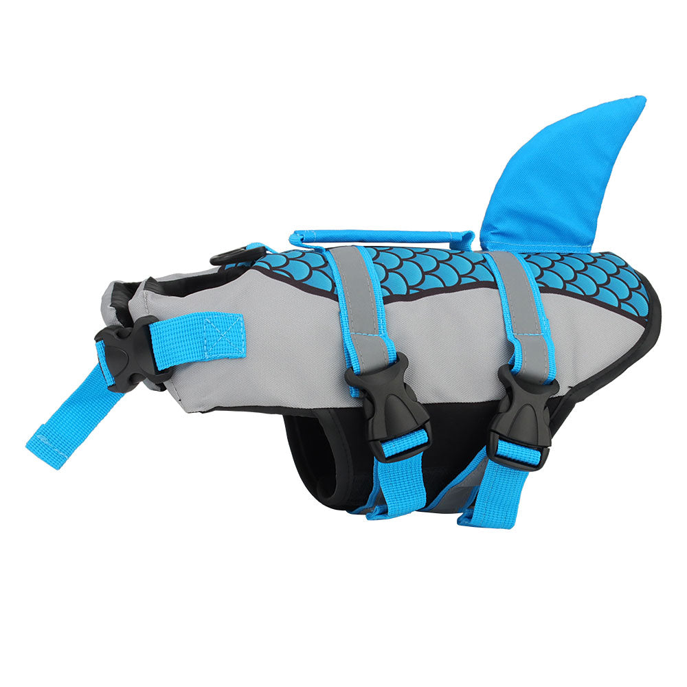 Blue dog life jacket
