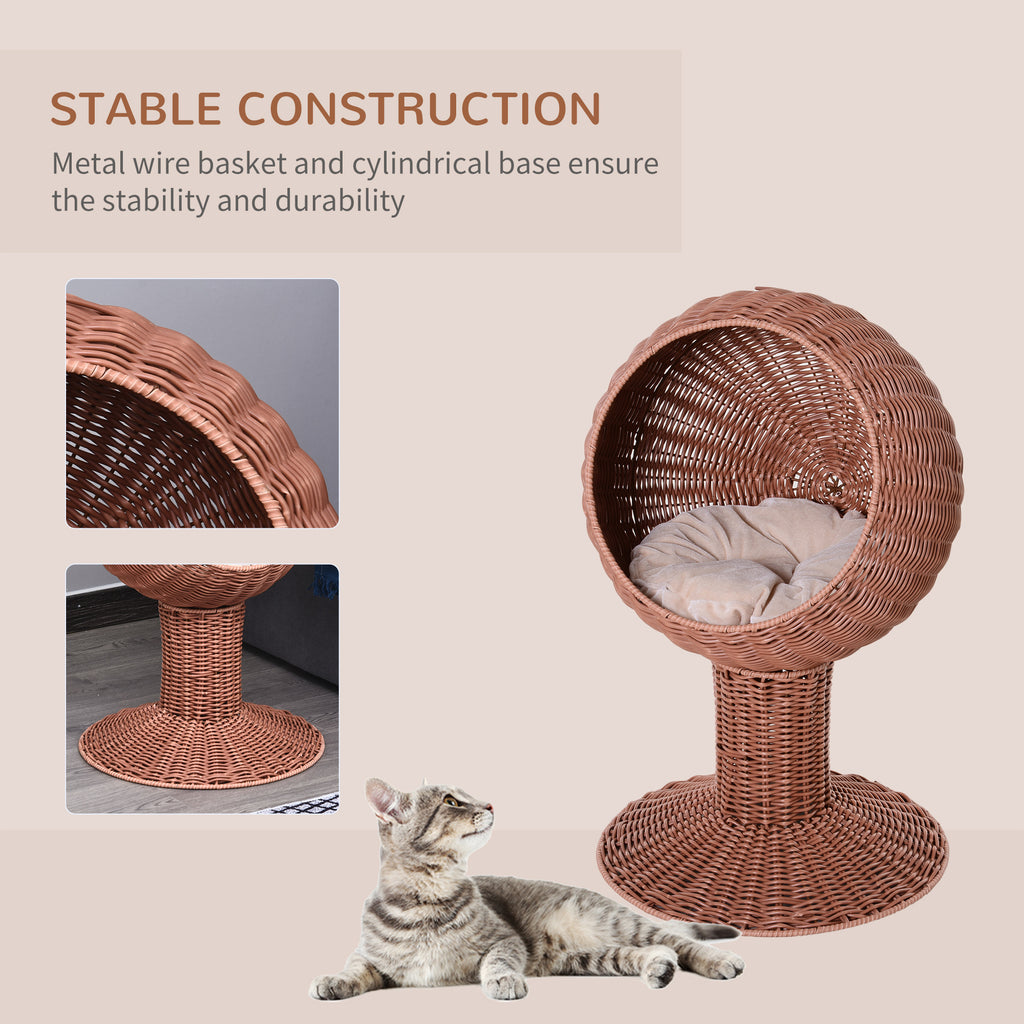 Cat inside elevated egg pod bed