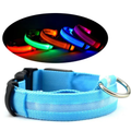 LED Pet Safety Halo Collar glowing at night
