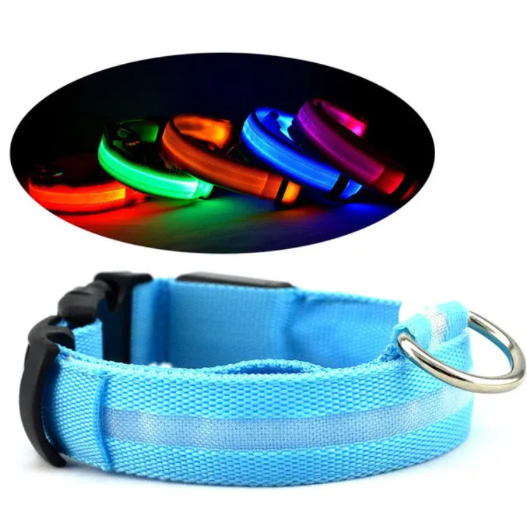 LED Pet Safety Halo Collar glowing at night