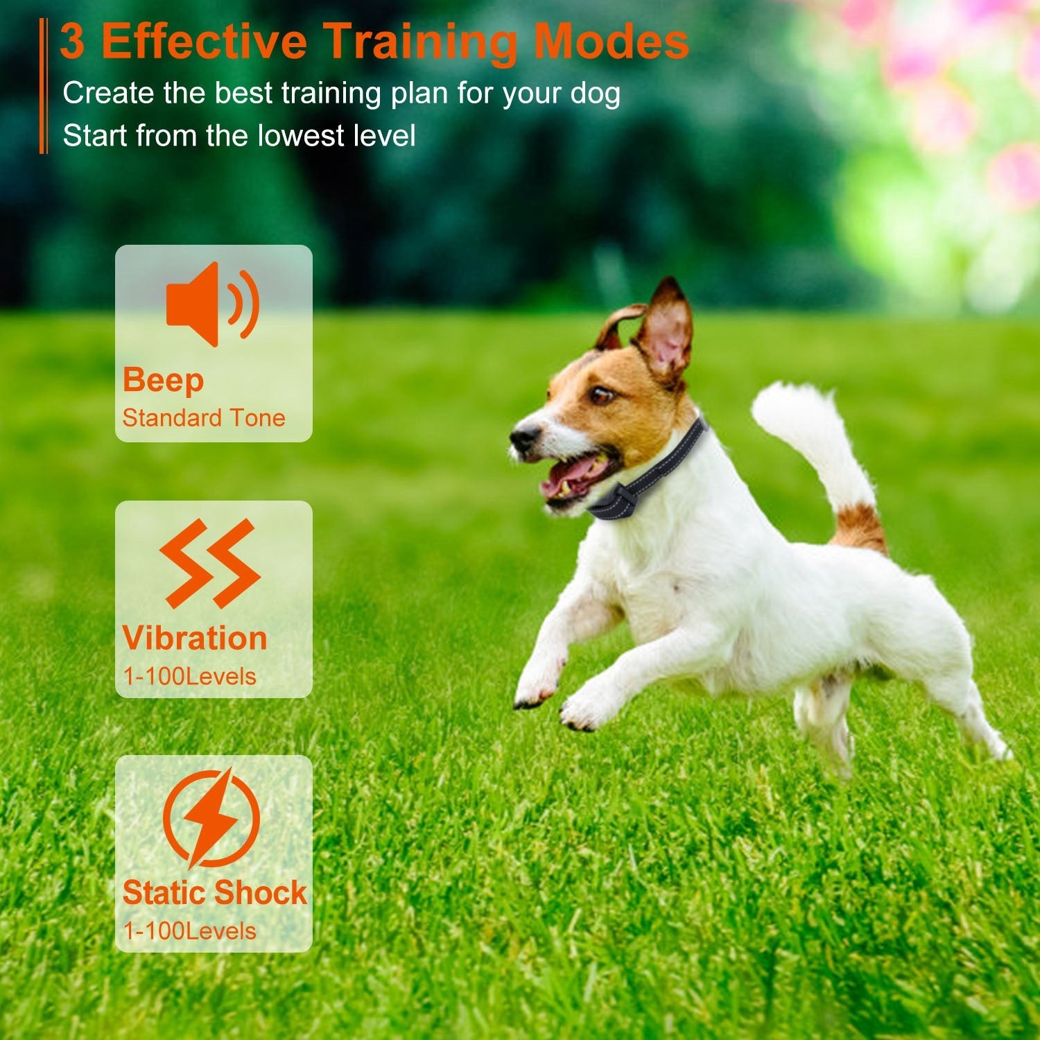 Dog Training Collar – Waterproof Remote with Beep, Vibration & Shock (Receiver or Full Set)