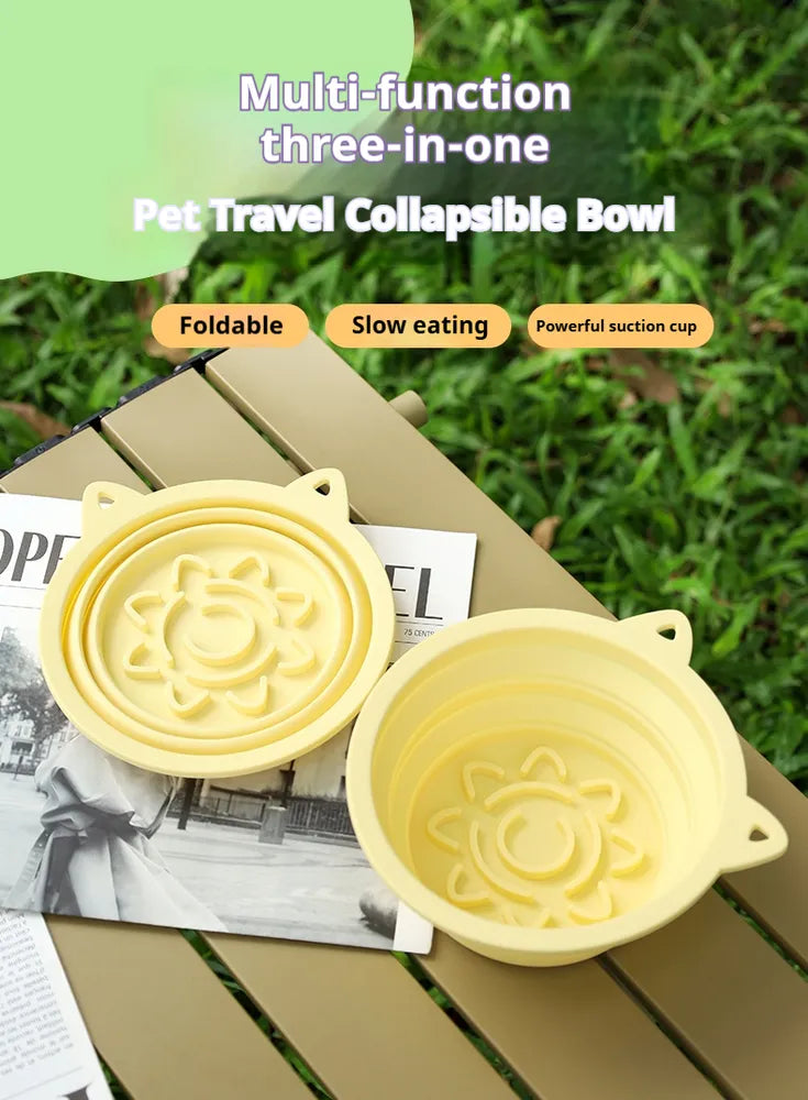 Dog drinking from collapsible travel bowl