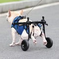 PawStep Dog Mobility Cart – Adjustable Pet Wheelchair for Injury & Rehab