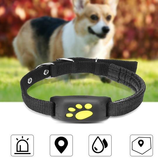 Z8-A GPS Pet Tracker – Waterproof Smart Locator with Geo-Fence Alerts