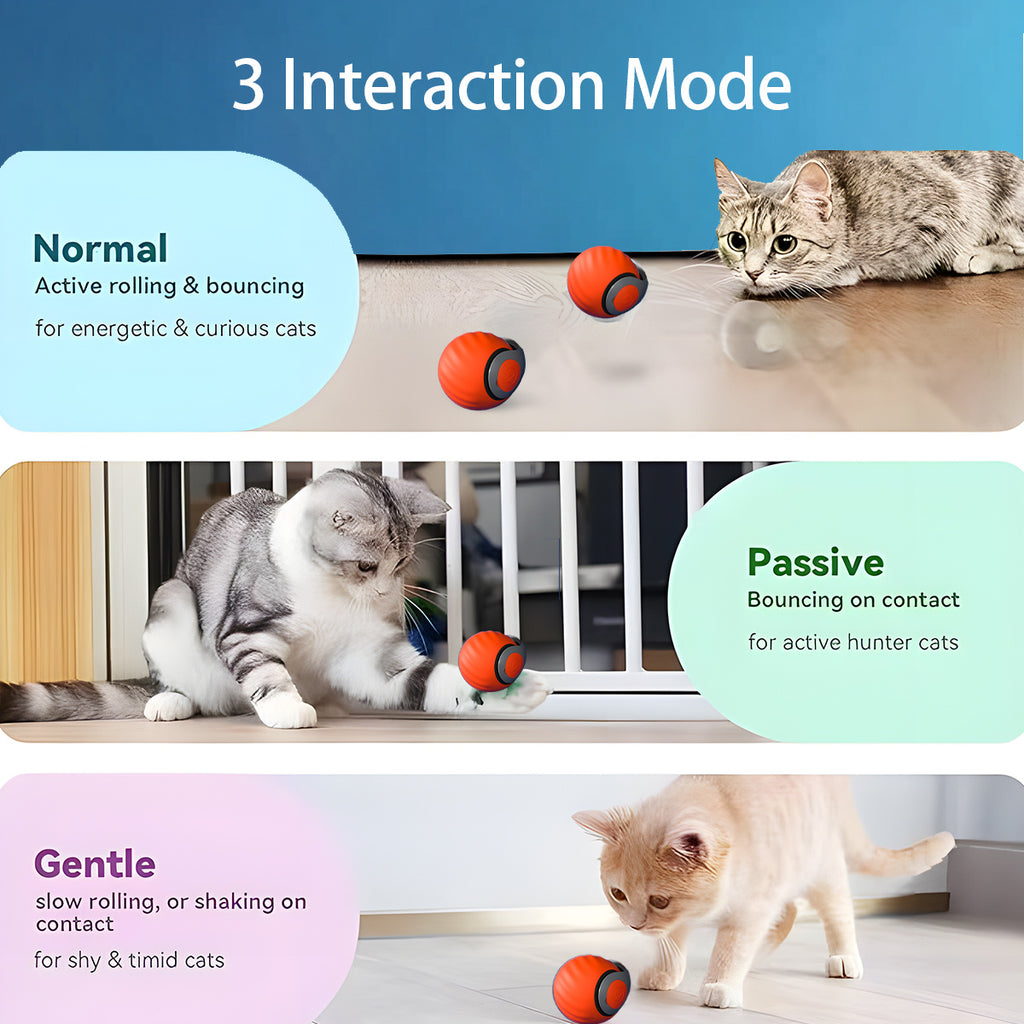 Smart Interactive Cat Toy Ball – Rechargeable Automatic Teaser