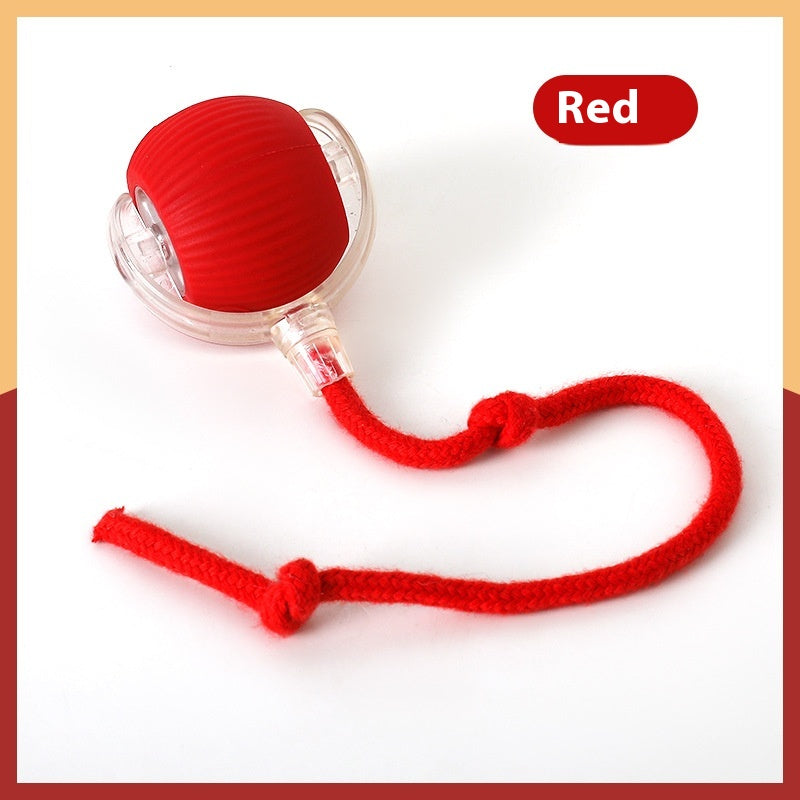 Interactive cat ball toy red with rope