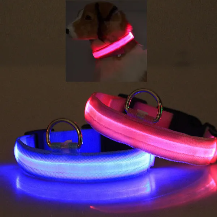 LED Pet Safety Halo Collar on dog
