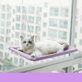 Suction-Cup Cat Window Hammock mounted on a window with a cat lounging