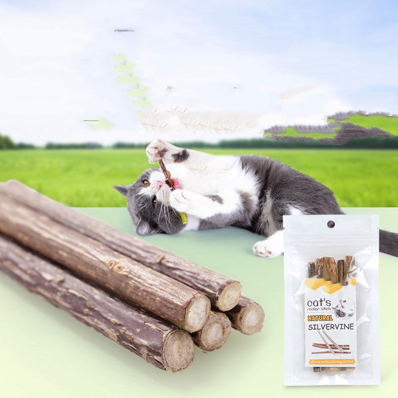 Cat chewing silvervine molar stick