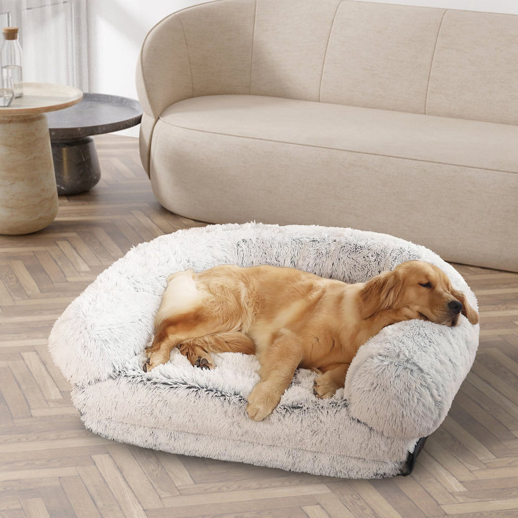 Convertible Human Size Dog Bed
