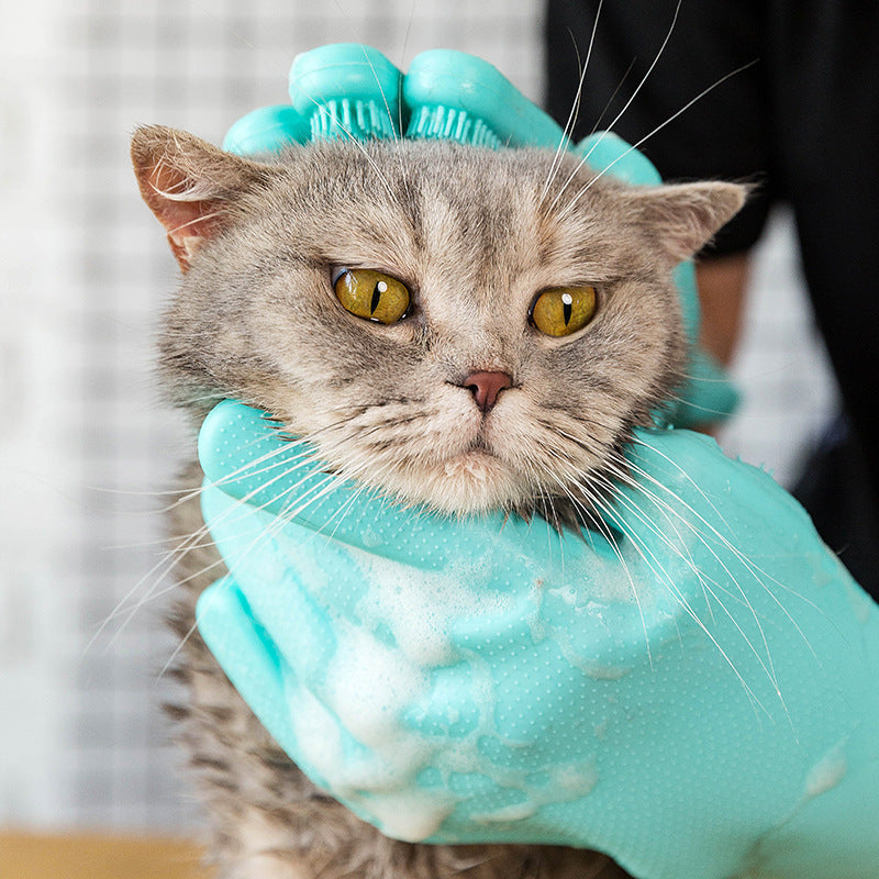 Close-up of silicone grooming glove being used on a cat