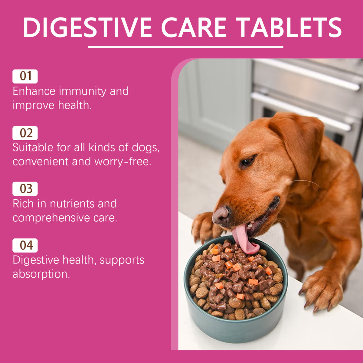 Probiotic dog chews ingredients and benefits