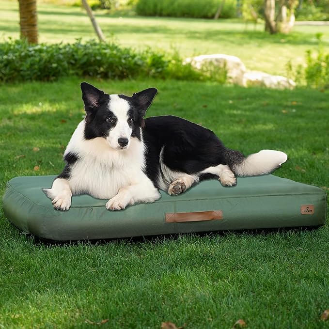 Inflatable dog bed green color
