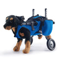 New Upgraded Dog Wheelchair for Back Legs Safety Dog Leg Support Adjustable Pet Wheelchair Cart with Poop Bag and Pee Mat