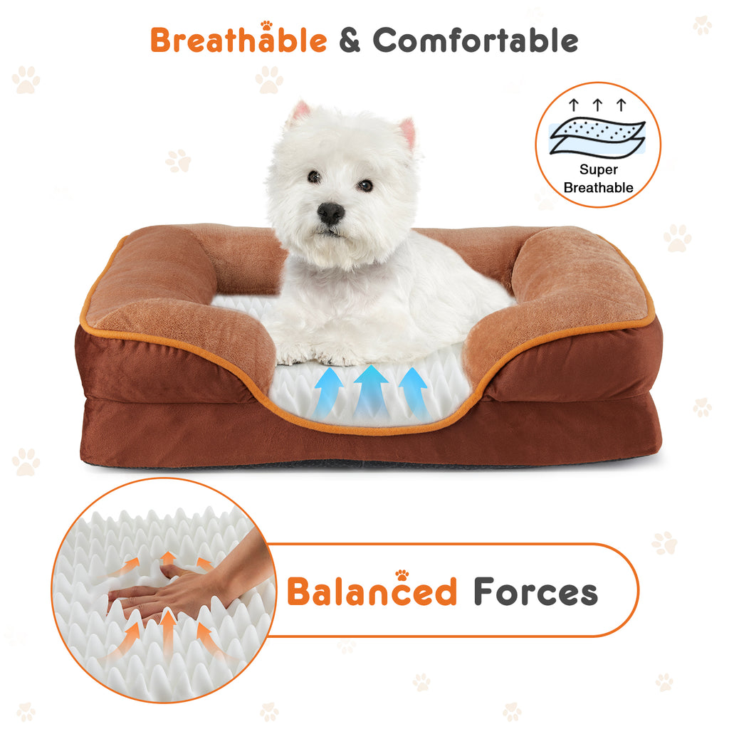 Dog resting on orthopedic memory foam bed