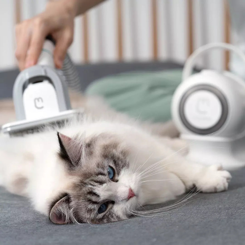 Moother Smart Pet Grooming Kit with Built-In Vacuum