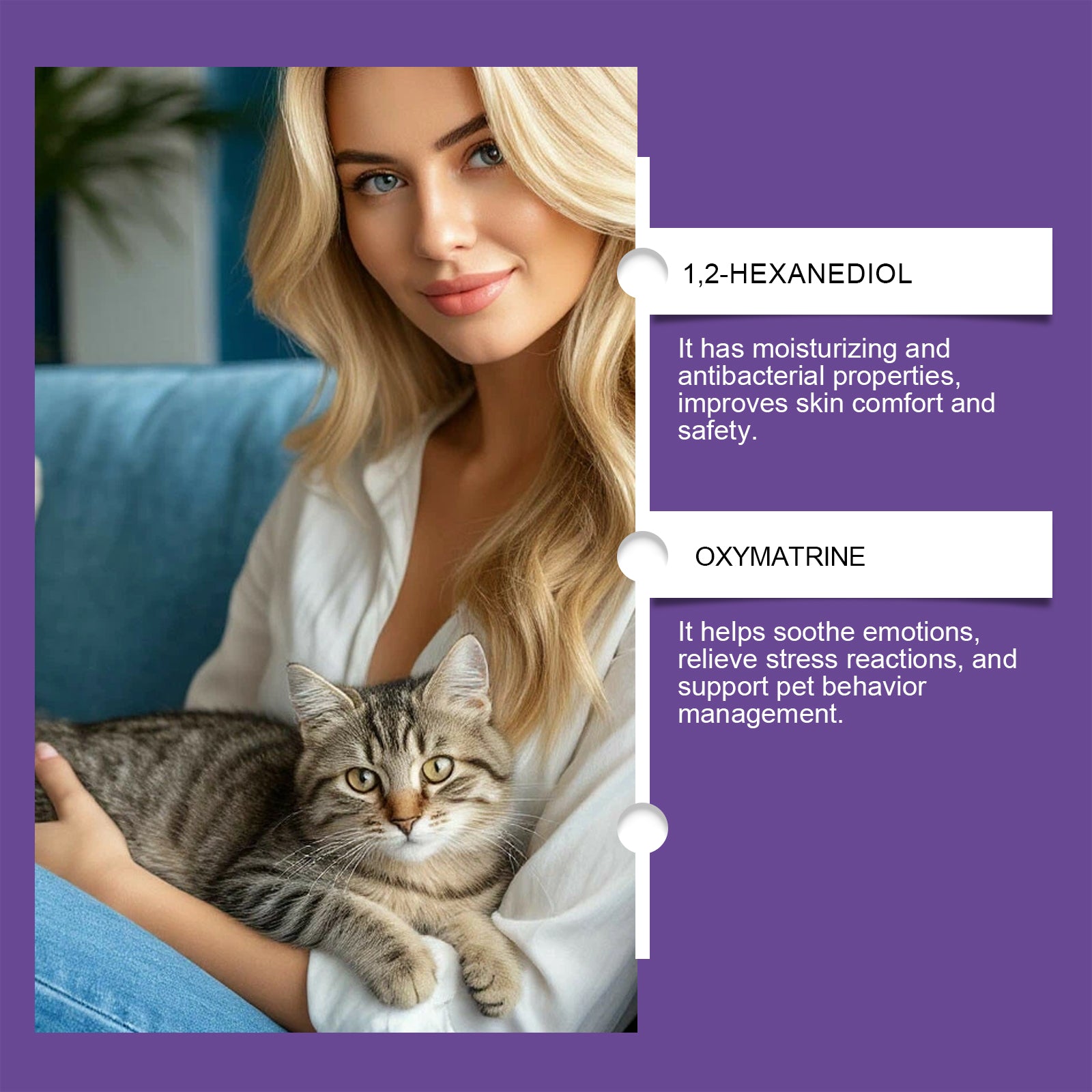 Calming cat spray 60ml bottle