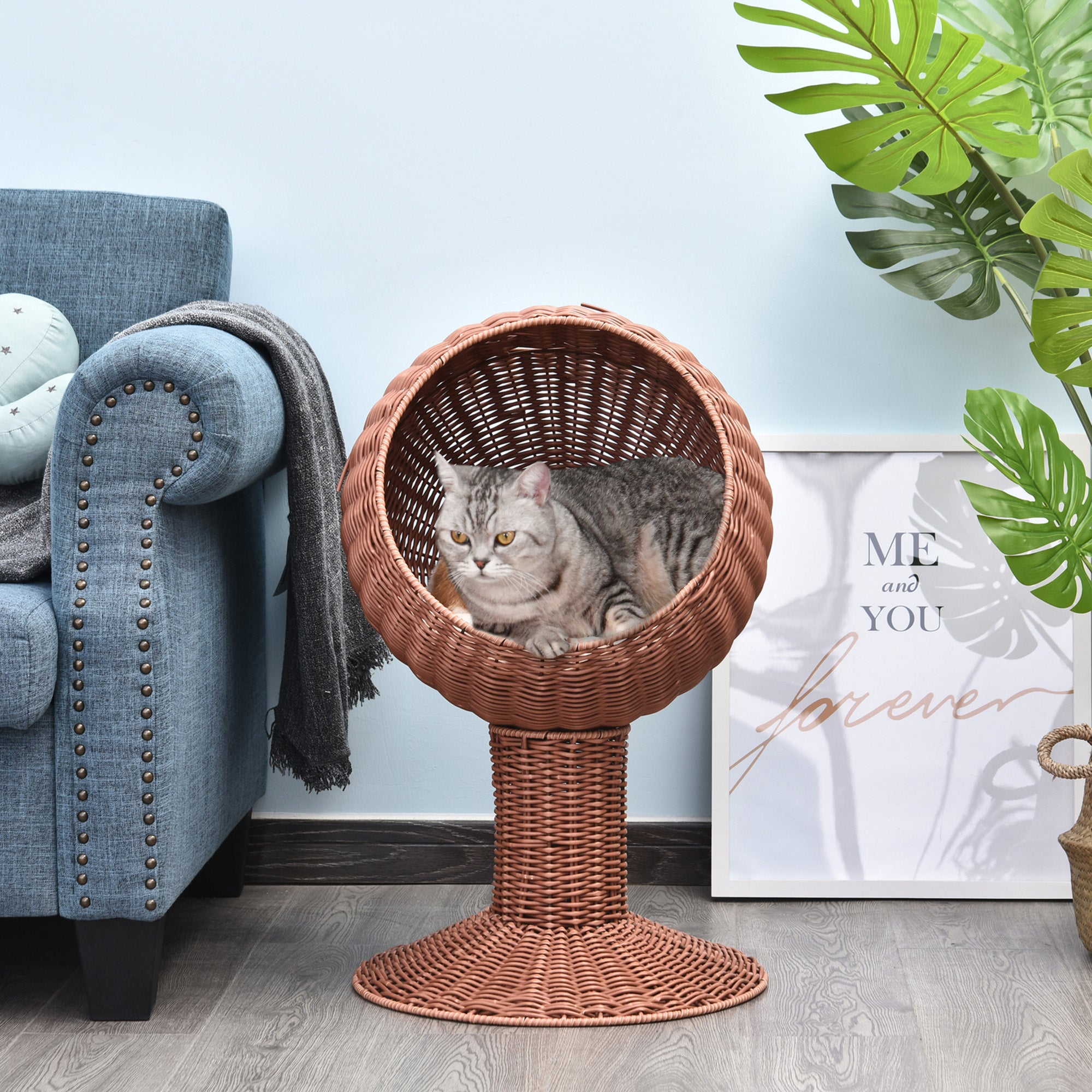 Elevated cat egg pod bed rotated open