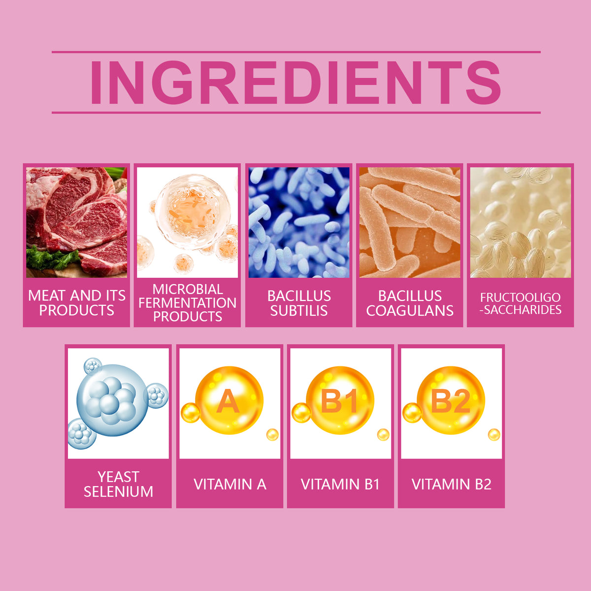 Probiotic chews bottle label detail