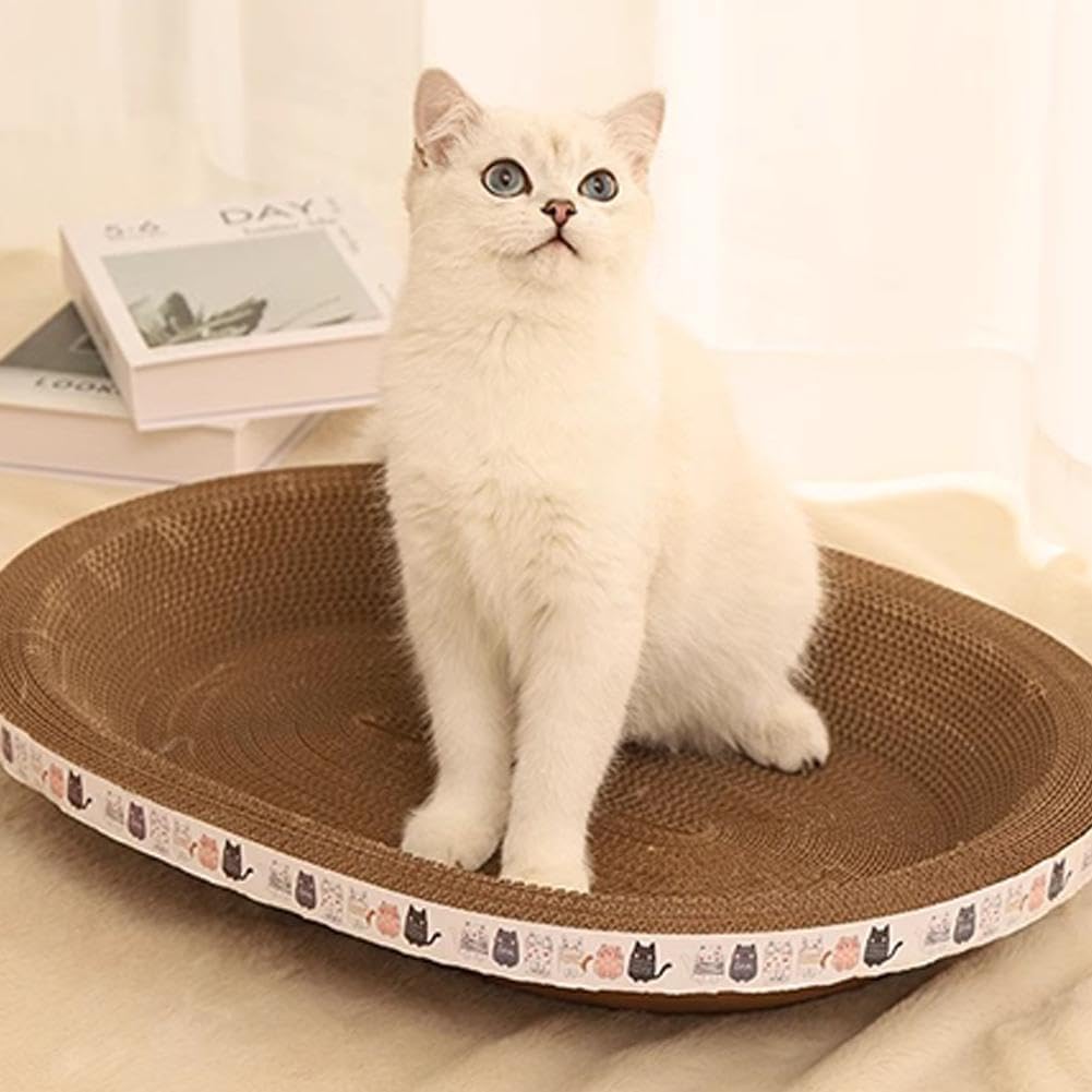 White cat sitting inside the oval cardboard cat scratcher lounge bed