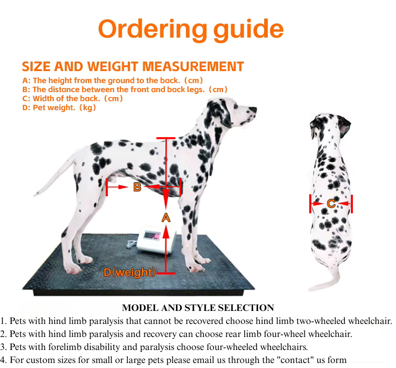 XL Adjustable Pet Mobility Cart – Rear Leg Rehabilitation Wheelchair