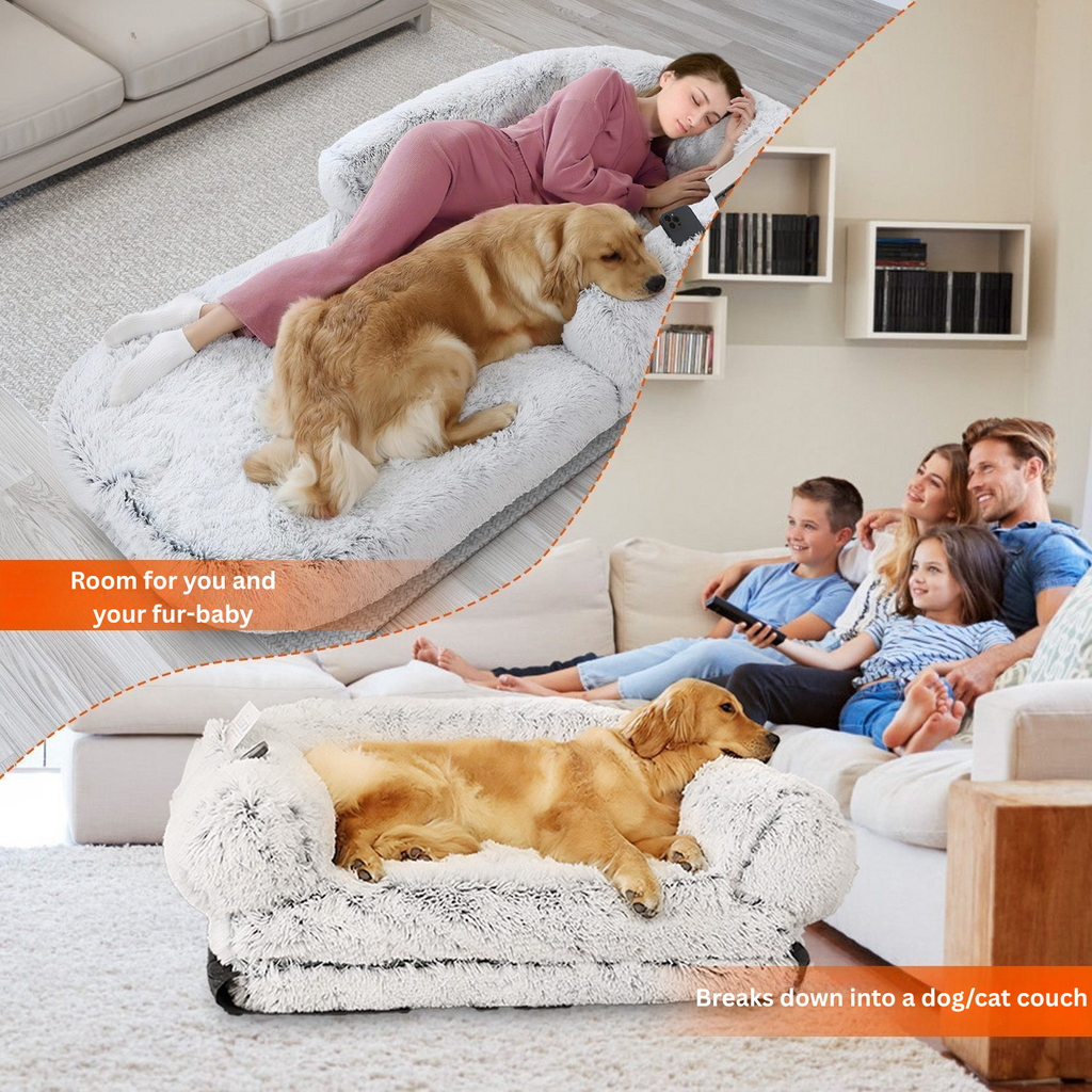 Convertible Human Size Dog Bed