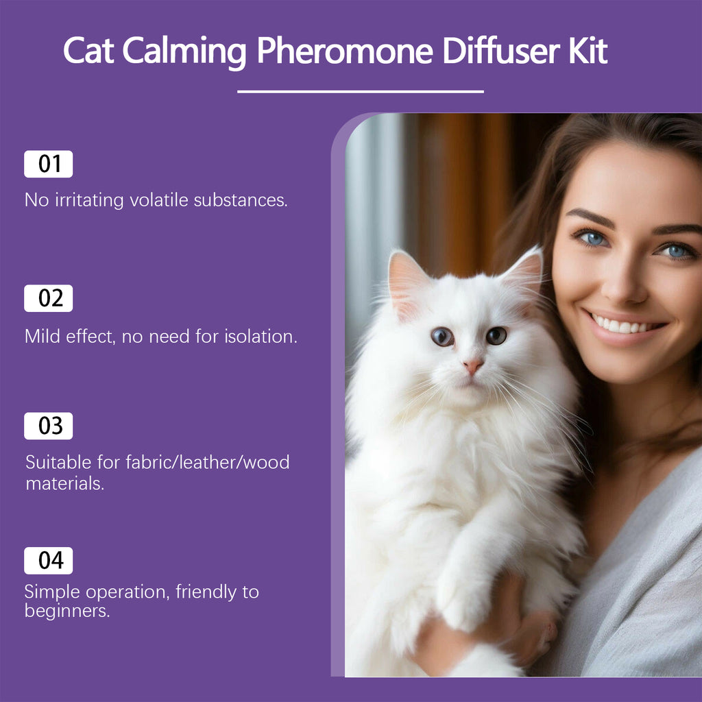 Calming spray being used on cat bedding