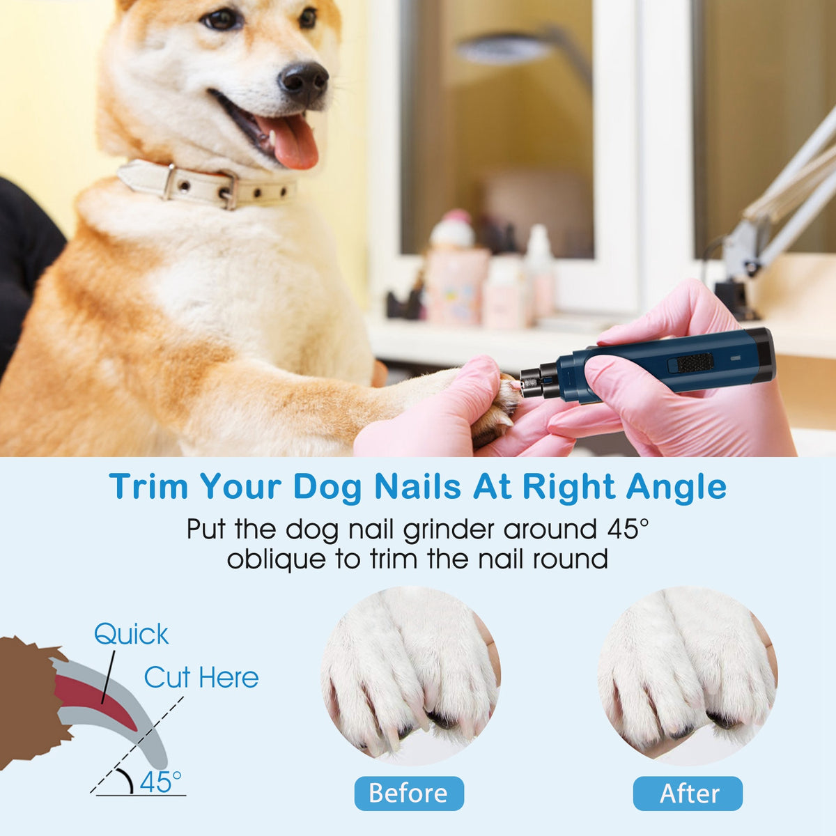 Pet nail grinder in use on dog paw
