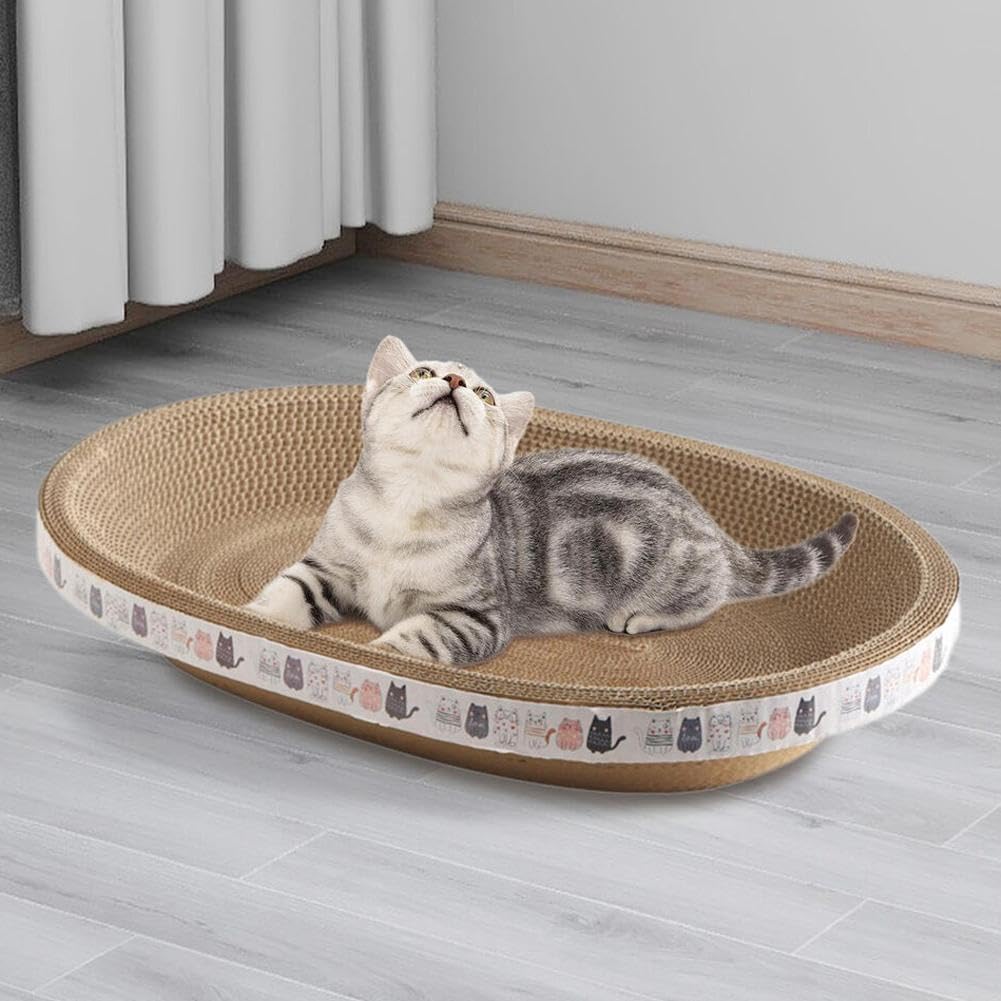 Kitten lounging in the oval cardboard cat scratcher bed in a living room