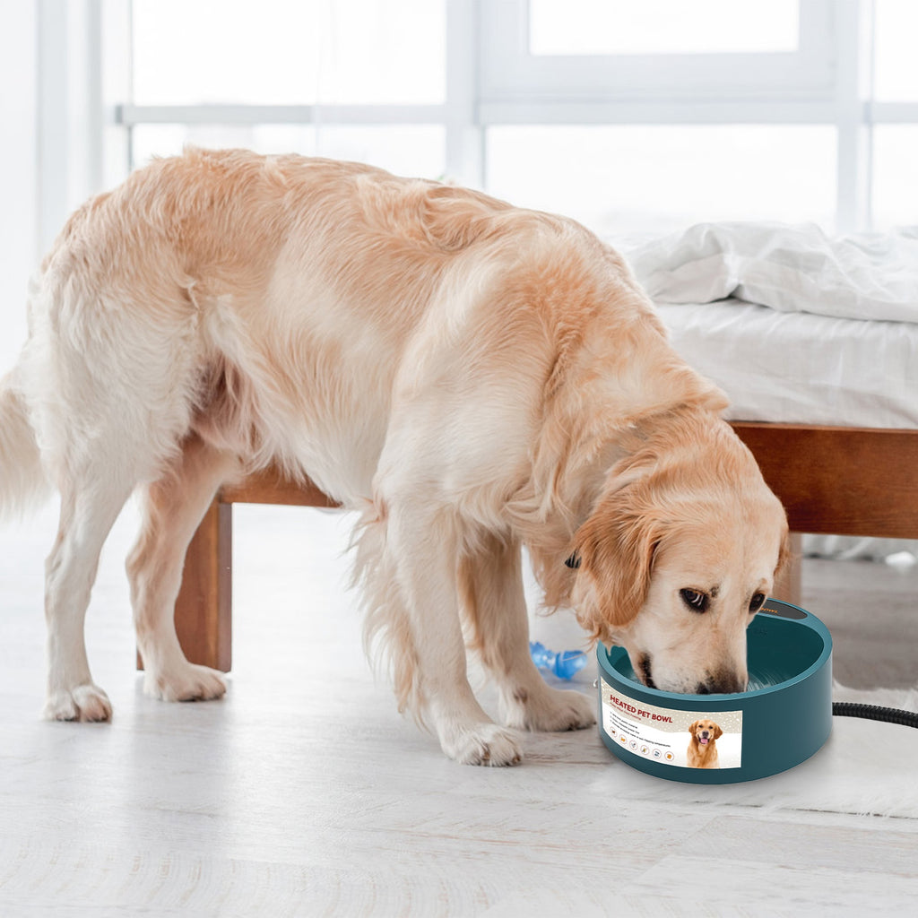 Heated pet water bowl