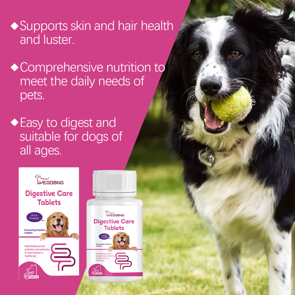 Dog enjoying probiotic digestive chew