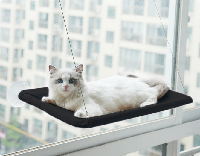 Cat Window Hammock black color