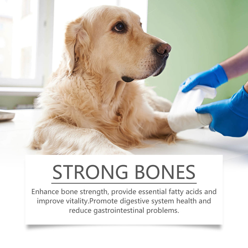Fish oil dog chews key benefits